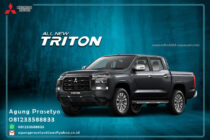 New Triton